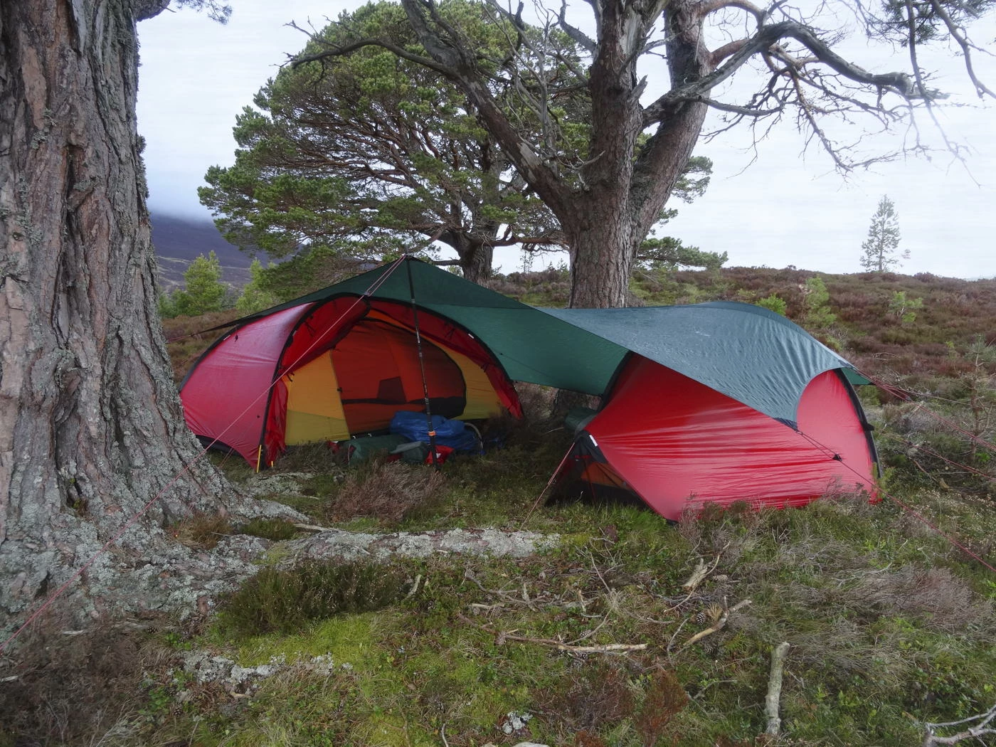 Hilleberg Tarp 5 - Minimalist Tarp - Green 12 Hilleberg Tarp 5 - Minimalist Tarp - Green - Billede 10