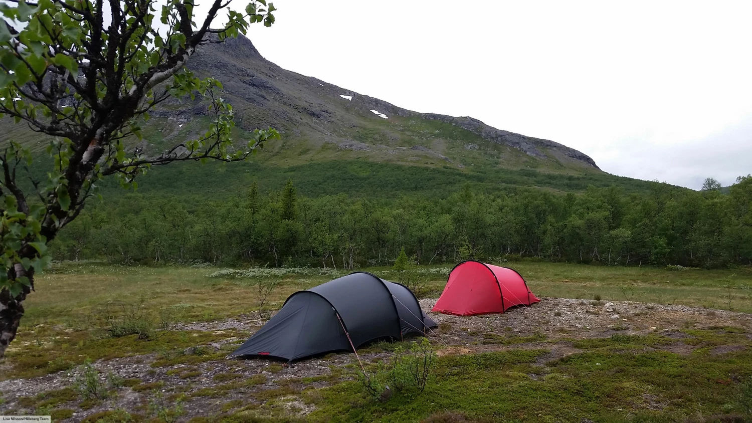 Hilleberg Anjan GT - Green 8 Hilleberg Anjan GT - Green - Billede 6