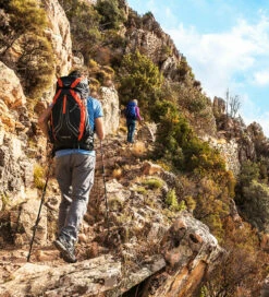 Osprey Exos 38 -Sports-Outdoor Camping Shop 181423169 origpic b88d31