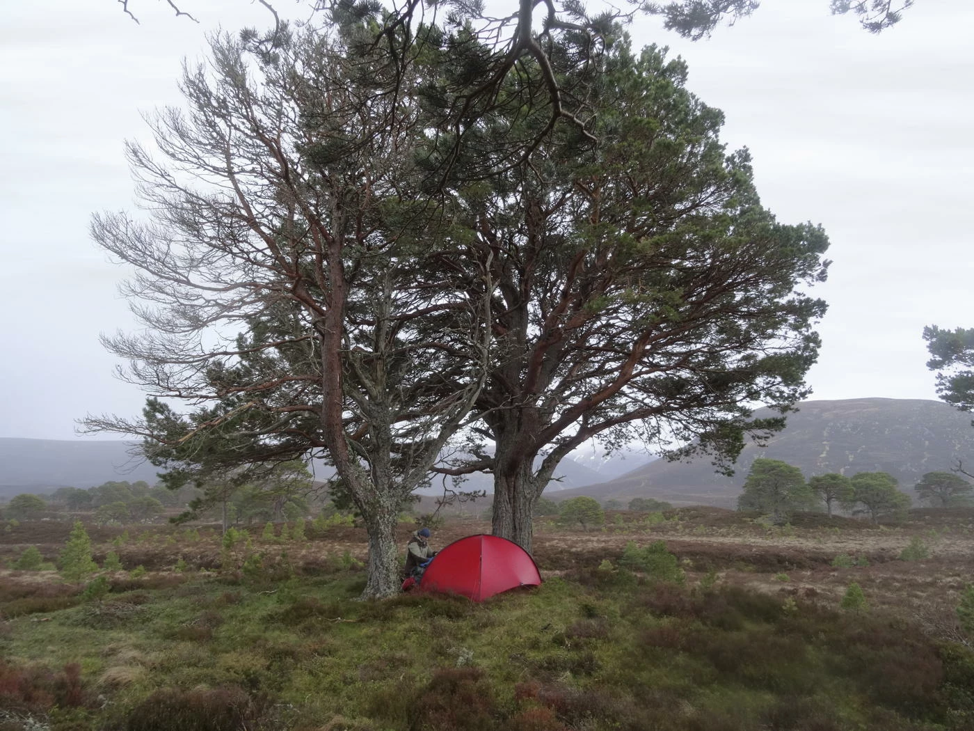 Hilleberg Niak Sand 3 Hilleberg Niak Sand