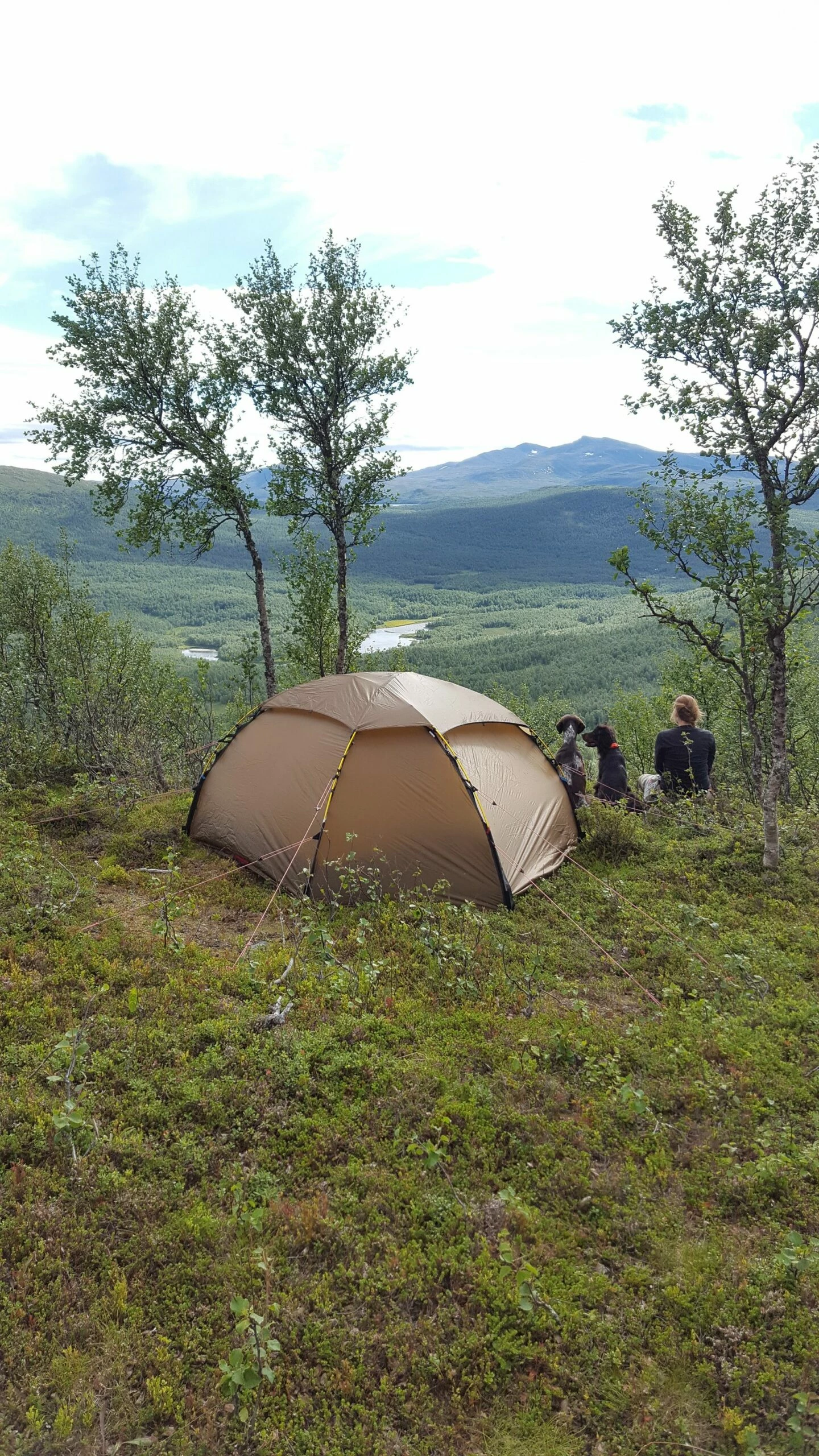 Hilleberg Allak 3 - Sand 5 Hilleberg Allak 3 - Sand - Billede 3