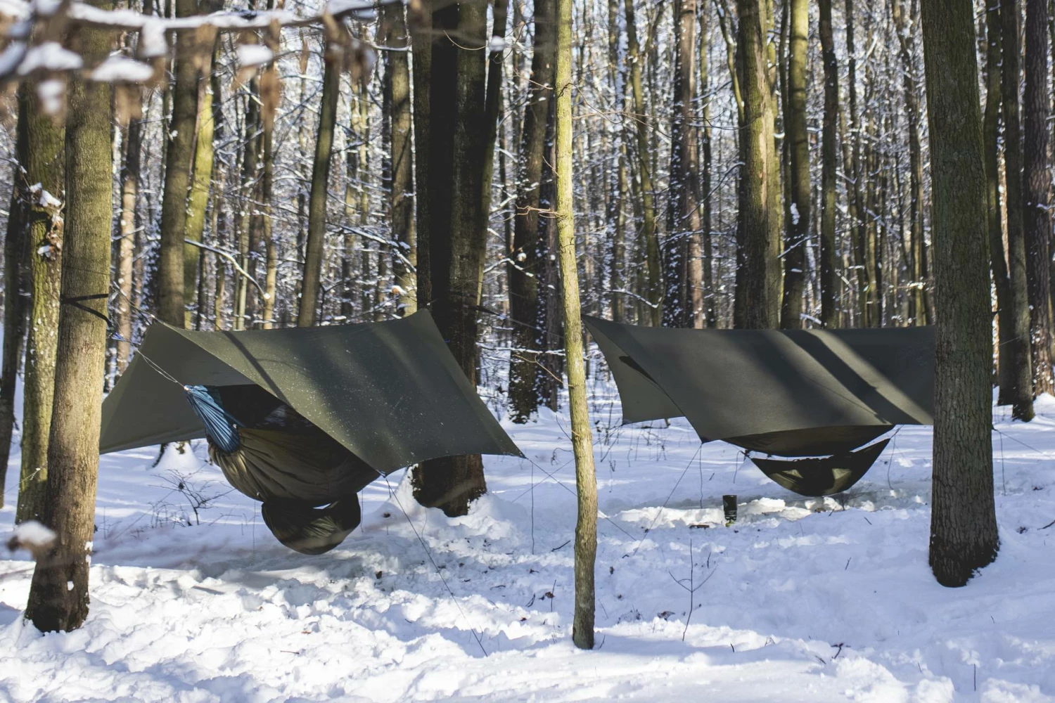 Lesovik HEKSA Tarp 3 Lesovik HEKSA Tarp