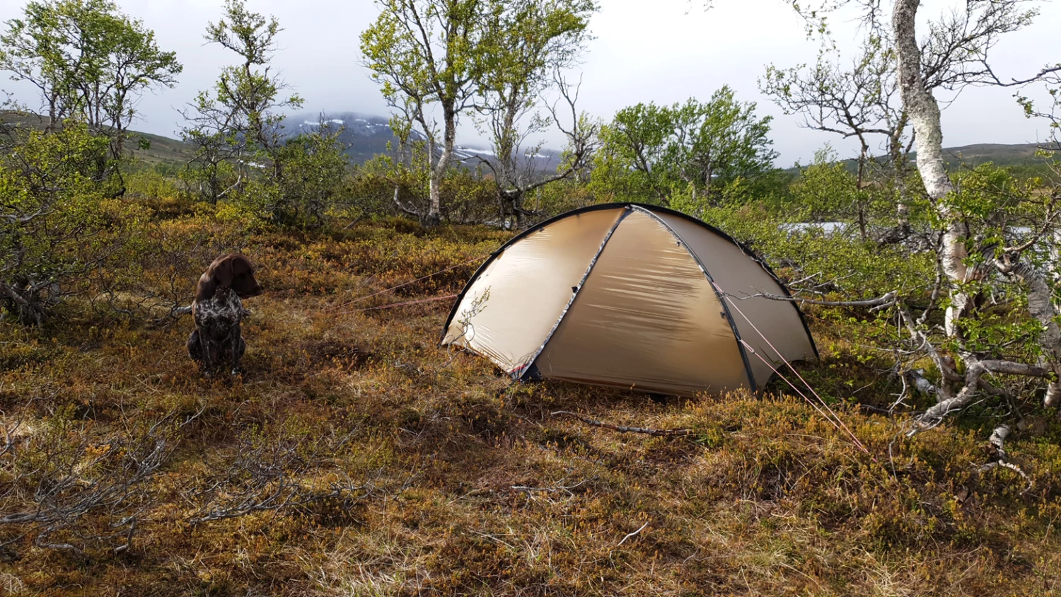 Hilleberg Niak Sand 9 Hilleberg Niak Sand - Billede 7